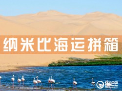纳米比港海运拼箱，深圳到纳米比海运拼箱查询